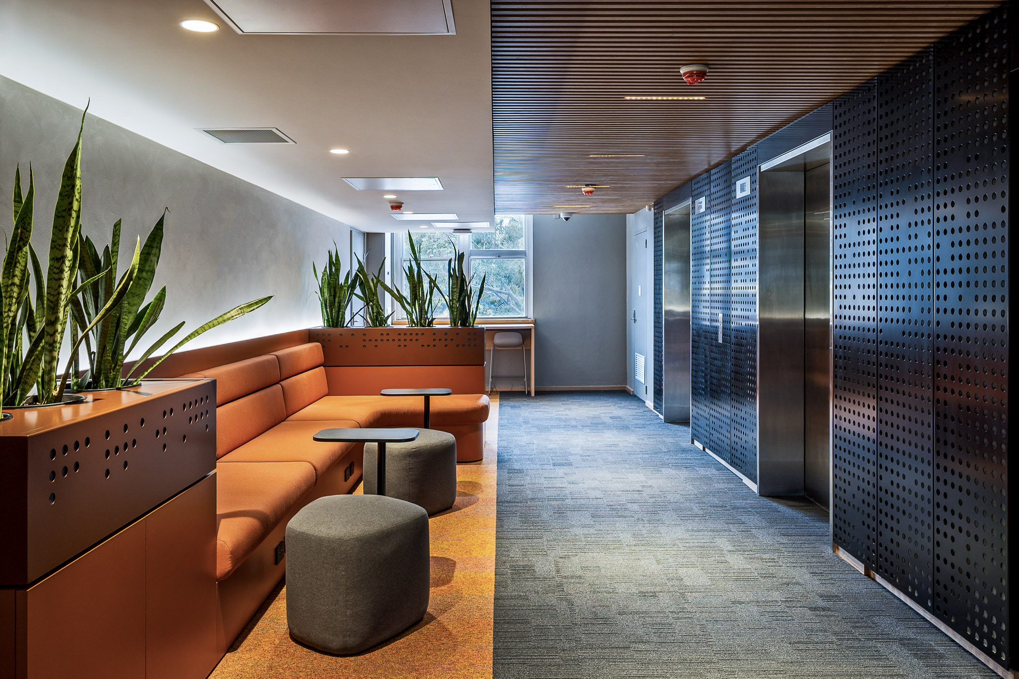 Alchemy EAE Monash Alchemy EAE Monash